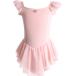  балет Leotard ребенок Junior девочка Kids безрукавка оборка одежда костюм шифон юбка ( розовый, 110 cm)
