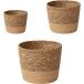 горшок покрытие декоративное растение корзина 3 шт. комплект ротанг способ цветочный горшок салон модный место хранения ( натуральный ( винил нет ), маленький средний большой 3 шт. комплект )