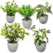  искусственная зелень декоративное растение настольный 5 позиций комплект фотокаталитический Mini интерьер модный маленький размер зеленый искусственный цветок ( зеленый, образец B)