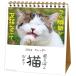 カレンダー 2022 卓上 日なたぼっこ猫だより ACL-1539 （A-36） 2022年1月始まり 令和4年 アクティブコーポレーション 猫 ねこ