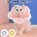  новинка soft легкий модель пончики ветеринарный воротник товар кошка кошка для собака для хлопок качество легкий . после царапина . защита царапина облизывание предотвращение .... предотвращение уход здравоохранение . после одежда 