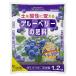 �Ԃ����� �u���[�x���[�̔엿 ���Y�҂��g���{�� 1.2kg