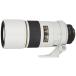 Nikon ñ������� Ai AF-S Nikkor 300mm f/4D IF-ED �饤�ȥ��졼 �ե륵�����б�