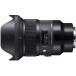 SIGMA одиночный подпалина пункт широкоугольный линзы 24mm F1.4 DG HSM | Art A015 SONY-E крепление для беззеркальный ( полный размер ) специальный 