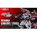  Bandai (BANDAI) METAL BUILD gun barrel ударник ( душа web магазин ограничение )