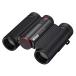 Nikon контроль вибрации бинокль 10x25 STABILIZED RED стабилизация изображения имеется 10 раз 25 калибр красный STB10X25RD