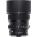  Sigma (Sigma) линзы 65mm F2 DG DN Leica Leica L крепление одиночный подпалина пункт взгляд издалека полный размер беззеркальный для Contempora