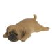 be потребности крышка делать san ......( Pug )