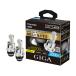 GIGA LEDإåɥХ D10 6000K D2S HIDLED ñܹ 10000lm 2ܥå ѥ ᥤ BW903