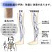 �ӂ���͂��T�|�[�^�[ �����\�b�N�X ���r  �ނ��ݎ�� ���s���i �����p�̗�����P �Ö��{���\�h �Ö��җ��T�|�[�g �n�C�\�b�N�X �P�Z�b�g �傫���T�C�Y �������� �֘A�摜3