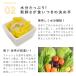 �����p ���育�͂� �h�b�O�t�[�h �a ���� �ؓ� ���^�� ���^�� ��^�� �������V���E�}�C6�H�Z�b�g �n�E���h�J���H�� �Ⓚ�� �֘A�摜5