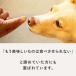 �� ����� �L �h�b�O�t�[�h �y�b�g�t�[�h �E�F�b�g �W���[�L�[ �� �� ���� �Ƃ��Ă����̂ЂƂ����e���[�k �T�[���� �֘A�摜3