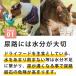 �������L�p �����X�[�v �A:�H�P�A 1��  ���Y�� ���Y �g�b�s���O �����⋋ �y�Ⓚ�ցz�y�n�E���h�J���H���z �֘A�摜3