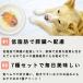 �ᎉ�b �� �X�� �t�[�h �h�b�O�t�[�h �E�F�b�g�t�[�h �a ���^�� ���^�� ��^�� �ᎉ�b���X���ɗD����7�H�Z�b�g �֘A�摜3