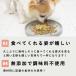 �ᎉ�b �� �X�� �t�[�h �h�b�O�t�[�h �E�F�b�g�t�[�h �a ���^�� ���^�� ��^�� �ᎉ�b���X���ɗD����7�H�Z�b�g �֘A�摜4