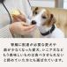 �h�b�O�t�[�h �a���� �P�[�L �H�������Q �_�炩�� �H���̎���`�[�Y�X�t�� 6�Z�b�g �n�E���h�J���H�� �֘A�摜3