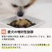 �� �y�b�g�p ���y��� �ӂ肩�� �y�f�p���[���C 100g �h�b�O�t�[�h ����H�� ���Y�� �჊�� �ᎉ�b ���y�H�i ���y ��� �֘A�摜5