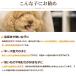 �����p�K�� ���߂� �f���^������� ������ ���̂���� �ᎉ�b ���^�� ���^�� ���Y���瑾�����K���n�[�h ���^�� ��^�� �֘A�摜5