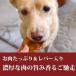 �Ⓚ ���p �n���o�[�O ���Y�{���l���̓���o�[�O 5����i��30g�~5�j �֘A�摜1