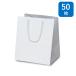 ��񂰎��� �}�b�g�E�z���C�g(�}�`�L) W-300 50�� ��300�~�}�`250�~��350mm �n���h���FPP�X�s���h���R(��) �M�t�g�p