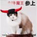  для домашних животных шляпа корова Devil Kings костюмы аксессуары кошка собака преображение надеты товары 