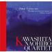  река внизу прямой широкий karuteto/ первый .:CD