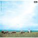  Hasegawa .../.........: CD