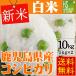 コシヒカリ 10kg 5kg×2袋 鹿児島県産 精白米 白米 30年産 送料無料