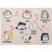  покрывало на колени запад река Snoopy теплый легкий тонкий полиэстер 100×70cm(PN2683BD) FQ72205044 розовый SNOOPY PEANUTS
