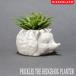 PRICKLES THE HEDGEHOG PLANTERplikrus The Hedgehog посадочная машина суккулентное растение кактус цветочный горшок KIKKERLAND Kicker Land 