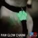 PAW GLOW CHARM домашнее животное собака ошейник прогулка America . свет брелок для ключа очарование 