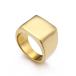  нержавеющая сталь грязь печатка type Gold 18KGF кольцо кольцо 24 номер 