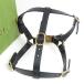  не использовался товар GUCCI Gucci Inter locking G домашнее животное Harness для домашних животных собака собака шлейка прочее мелкие вещи кожа черный [ б/у ]