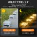 4�Z�b�g �K�[�f�����C�g ���O �� �K�i �\�[���[���C�g �Z���T�[���C�g �h�� IP68 LED���C�g �K�[�f�j���O �K�[�f�����C�g �� ���C�g �Ɩ� �ԐڏƖ� �g�F �֘A�摜3