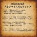�y���X����/�傫���T�C�Y�zBlackRebel �X�q �L���b�v �����Y ���f�B�[�X �傫���T�C�Y ��REVL 7986564 �[�� Vintage �N���b�V�� ���H ���Ȃꊴ ������� �֘A�摜1