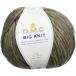 DMC BIG KNIT большой вязаный шерсть супер очень толстый 106m #103 SILVER MIST туман DMC8151