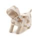 [顼ȥԥ åȥɥɥå] CAT&DOG 쥤ݥ PAGG242573 BRW S