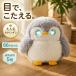 AI�y�b�g���{�b�g AI���� ����ׂ� �y���M�� ChatGPT�Ή� �����F�� ���{�� �p��b 66���� �q�� ���̎q �j�̎q �a���� �������� �m��ߋ� �����Θb ���蕨