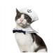  cat wear dog wear hat horizontal san sailor suit navy set fancy dress cat. clothes dog. clothes dog cat pet clothes wear Western-style clothes pretty lovely dog 