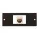PA-40-LAN Aurora AURORA EIA1U трансляция подключение panel для опция LAN для PA-40-LAN