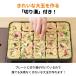 �y�����zIwatani �C���^�j ��J �J�Z�b�g�K�X �����Ċ� �X�[�p�[������ ���񂽂� �u�����Y&�u���b�N ���{�� CB-ETK-1 �u�����Y���u���b�N �֘A�摜5