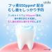 �������� LION ���C�I�� �t�b�f���ؗ� 950ppmF Check-Up kodomo �`�F�b�N�A�b�v�R�h�� 60g 3�{ �������� �֘A�摜3