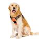 Homein Harness большой собака супер большой собака 28-56kg для .. обивка предотвращение размер регулировка возможность переустановка простой вечер отражающий безопасность Rav Rado ru(XL orange )
