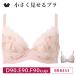 拾 ֥饸㡼 BRB453 ֥ 졼 wacoal 򾮤 䤻 ߥ˥ޥ 3/4å Q DEFå 1101_wa xmas