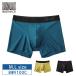  Gunze корпус wild боксеры BWV100C GUNZE BODY WILD EZX легкий X супер-легкий передний ...... нет (M*L*LL размер )