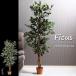 観葉植物 フェイク 本物そっくり フェイクグリーン 「フィカス 690」 FBC 大型 造花 インテリア 室内