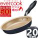�y500���ۏ؁zEGFP20NV �G�o�[�N�b�N �t���C�p�� 20cm �K�X�ΐ�p 500���ۏ� | �h�E�V�V��