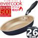 �y500���ۏ؁zEGFP26NV �G�o�[�N�b�N �t���C�p�� 26cm �K�X�ΐ�p 500���ۏ� | �h�E�V�V��