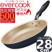 �y500���ۏ؁zEGFP28NV �G�o�[�N�b�N �t���C�p�� 28cm �K�X�ΐ�p 500���ۏ� | �h�E�V�V��