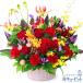 �y���j���z�ԃL���[�s�b�g �h�V�̓� �a���� �L�O�� �����j�� �����} �җ� �J�X�J�� ���Ɠ��w ���� ���b�h���C�G���[�̉؂₩�A�����W�����g